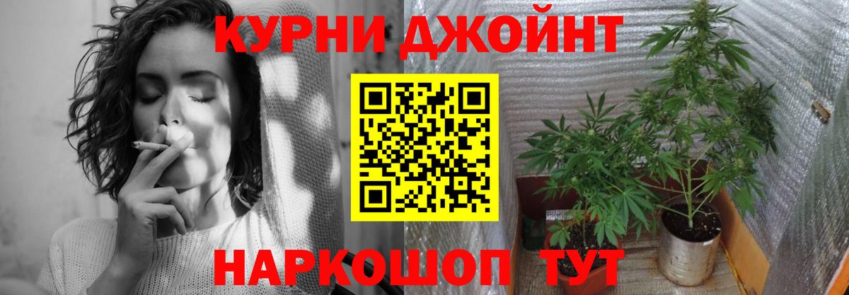 Каннабис план  Марихуана планчик  Бошки Шишки гибрид  Прохладный  Вход с VPN  МАРИХУАНА Amnesia 