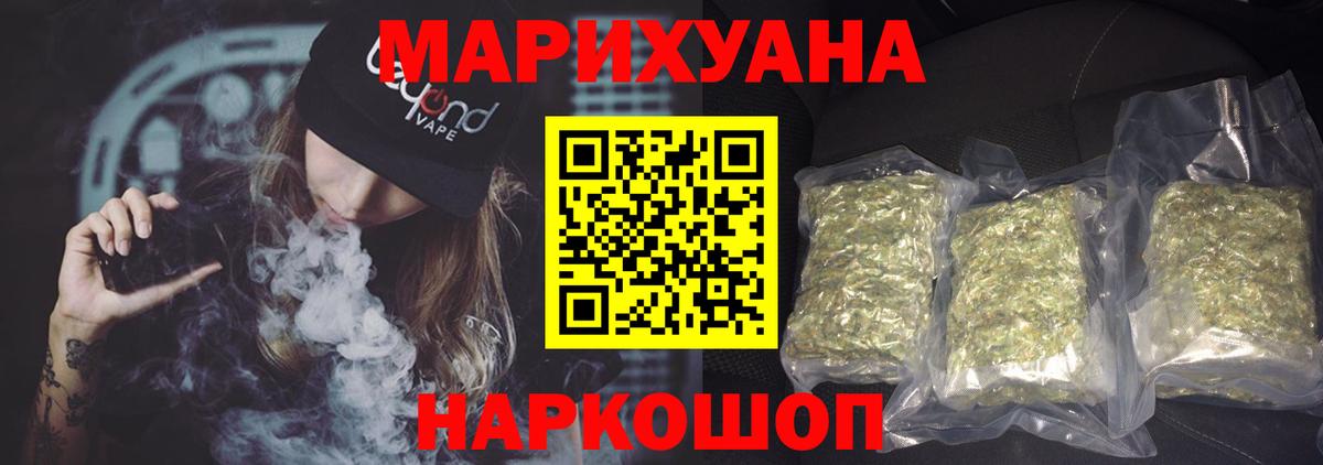 Канабис планчик Прохладный